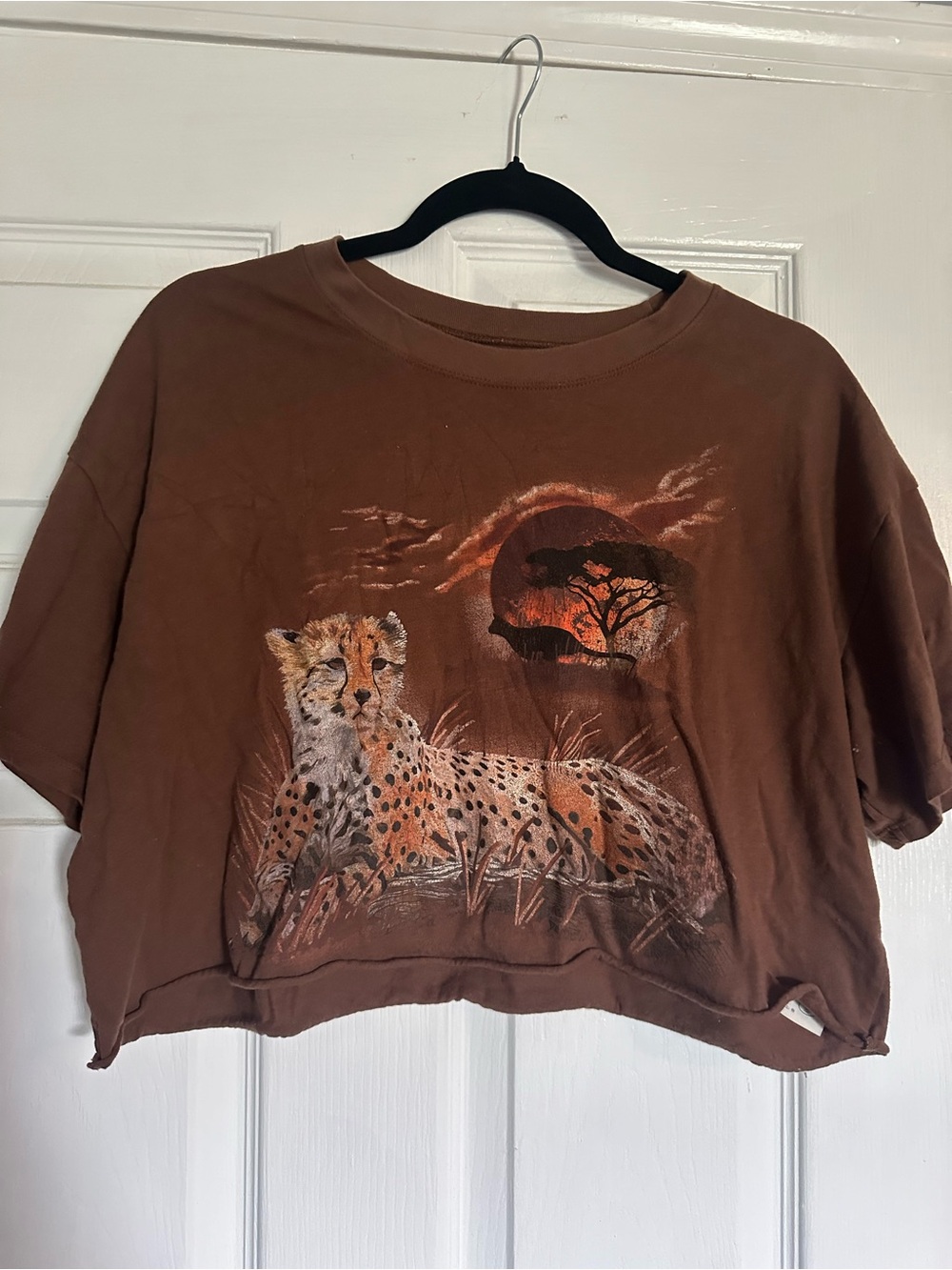 Hollister Brown Cheetah Sunset Graphic Cropped Tee